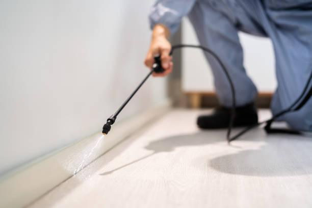 Licensed Pest Control service in Friendship Heights Village, MD - Show Me Pest Control
