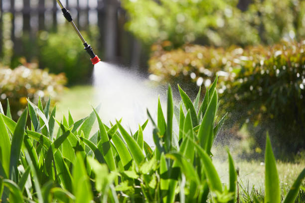 24/7 Emergency Wasp Removal experts in Friendship Heights Village, MD