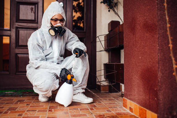Reliable Wasp Removal contractor in Friendship Heights Village, MD by Show Me Pest Control