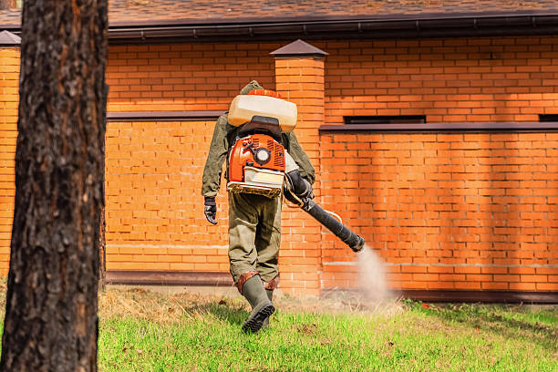 Top rated local Wasp Removal specialists in Friendship Heights Village, MD